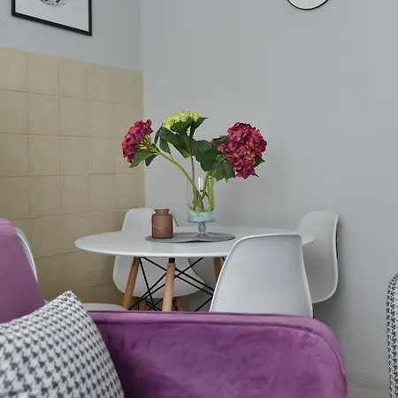 Filip Apartment Novi Pazar